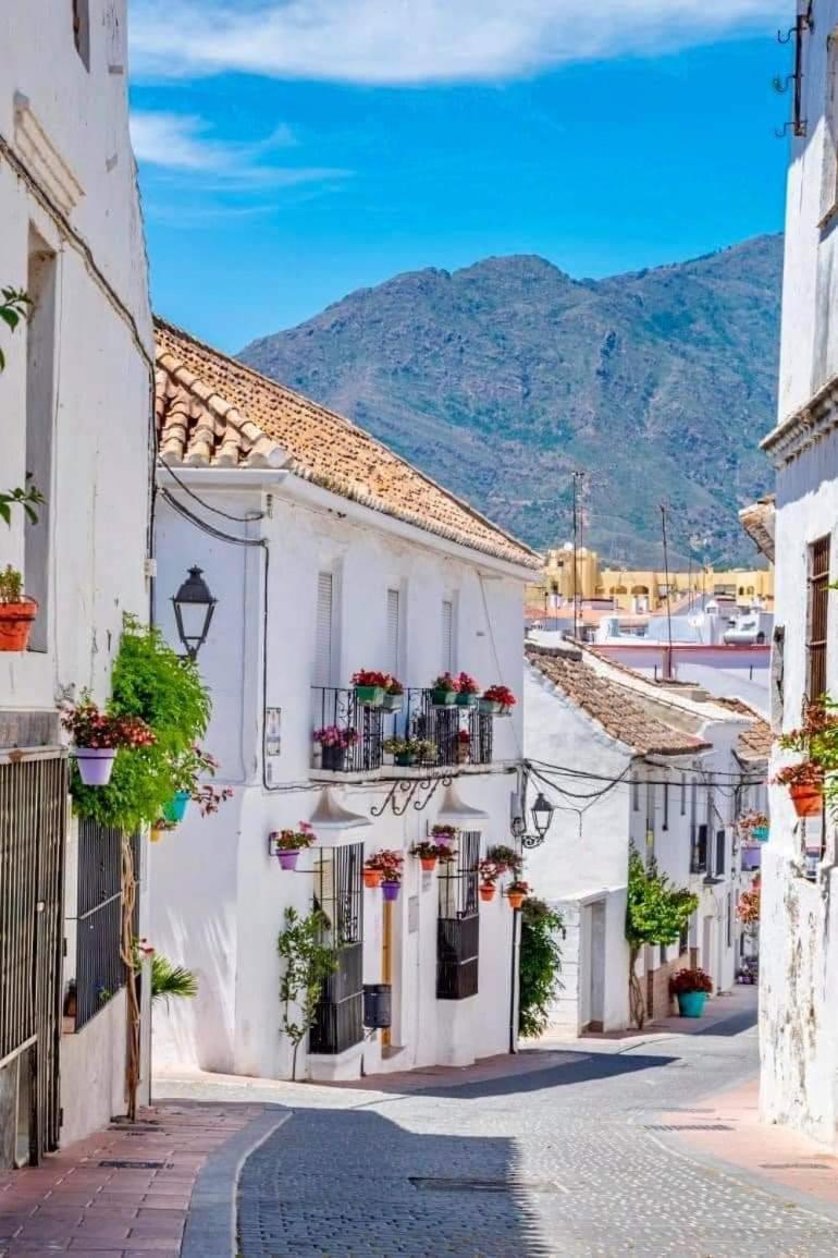 Bahia de CasaresCasares Del Sol Penthouseアパートメント エクステリア 写真